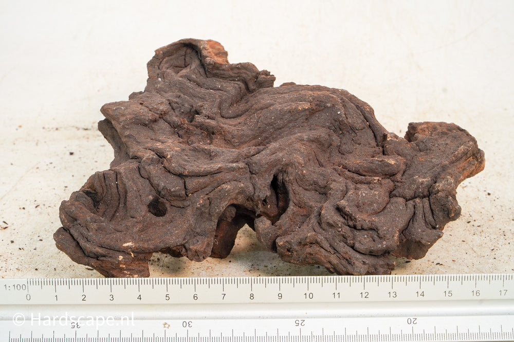 Mopani Hout 123 - Hardscape.nl