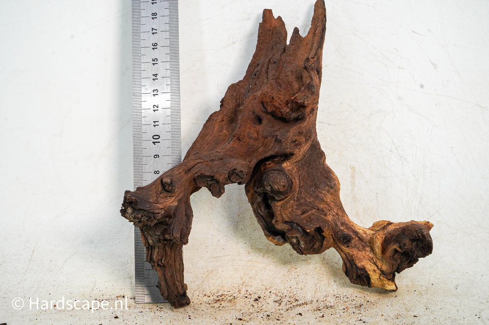 Mopani Hout 124 - Hardscape.nl