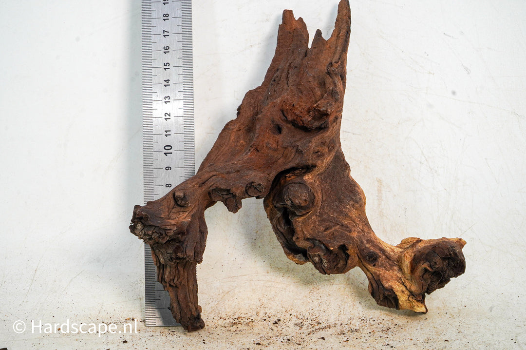 Mopani Hout 124 - Hardscape.nl