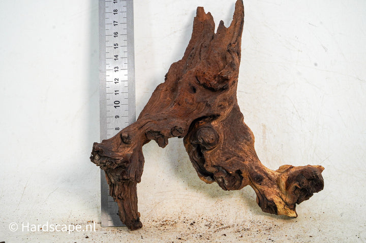 Mopani Hout 124 - Hardscape.nl