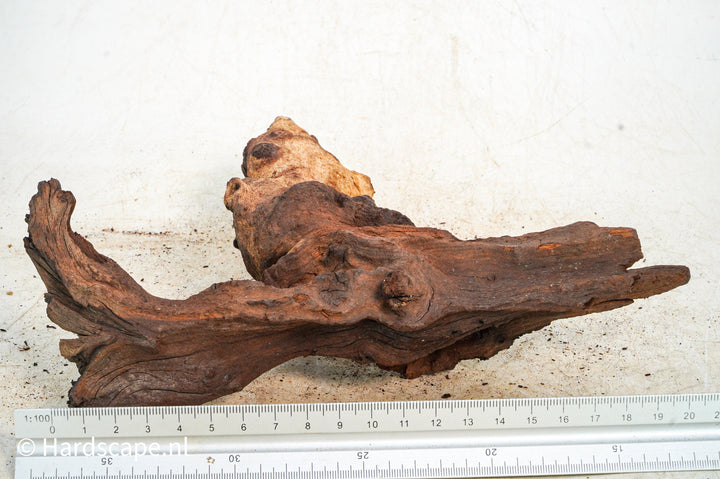 Mopani Hout 124 - Hardscape.nl