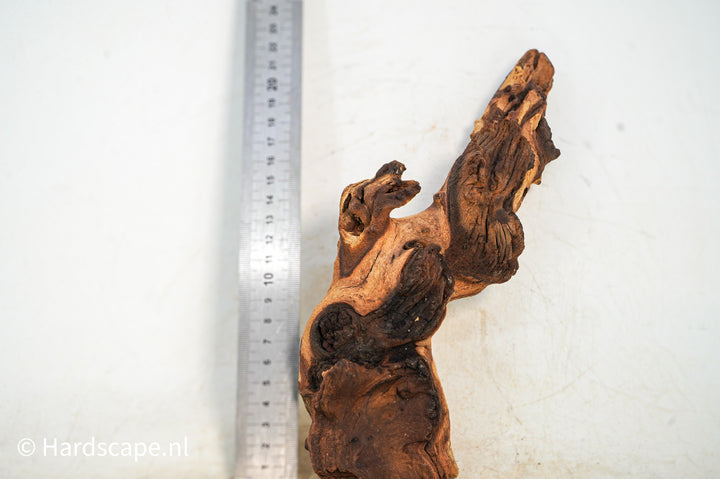 Mopani Hout 88 - Hardscape.nl