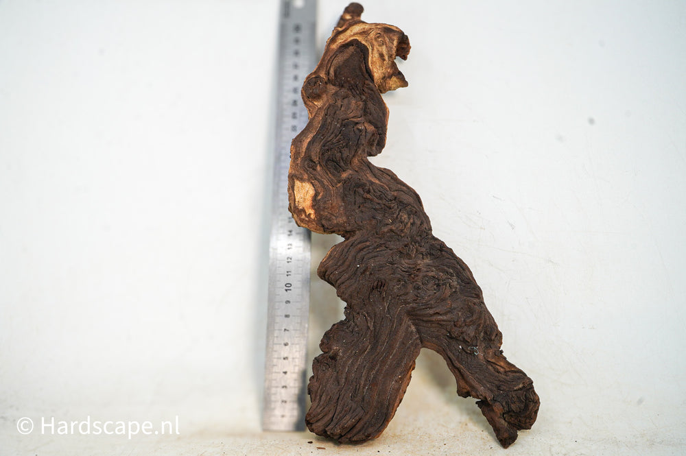 Mopani Hout 89 - Hardscape.nl