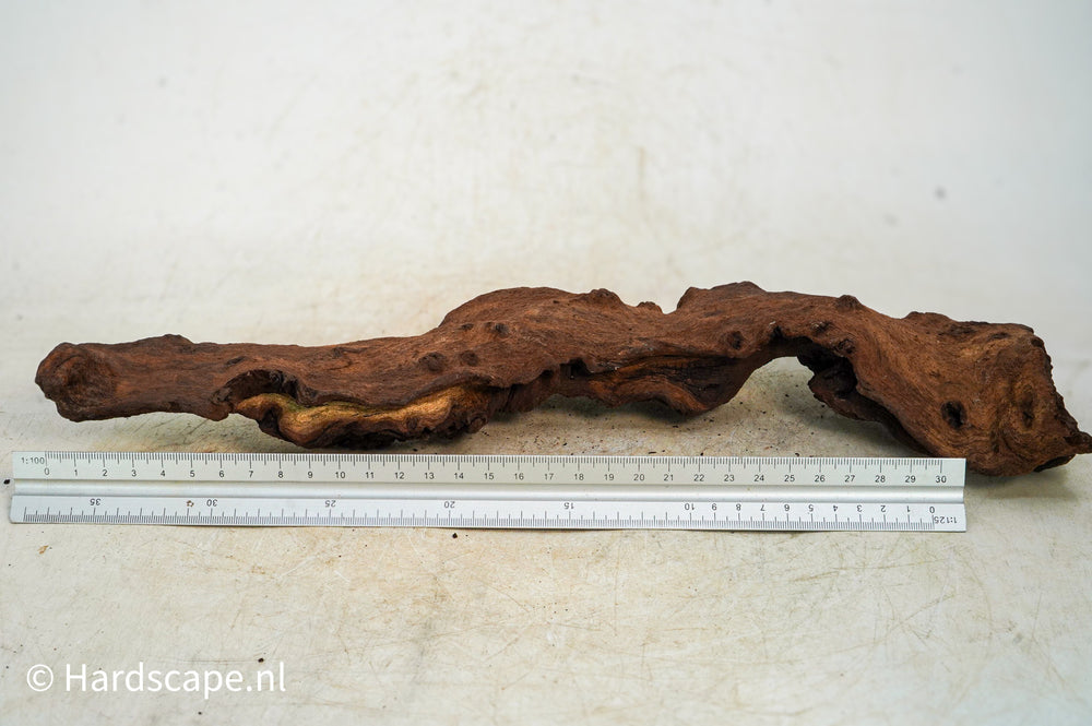 Mopani Hout 91 - Hardscape.nl