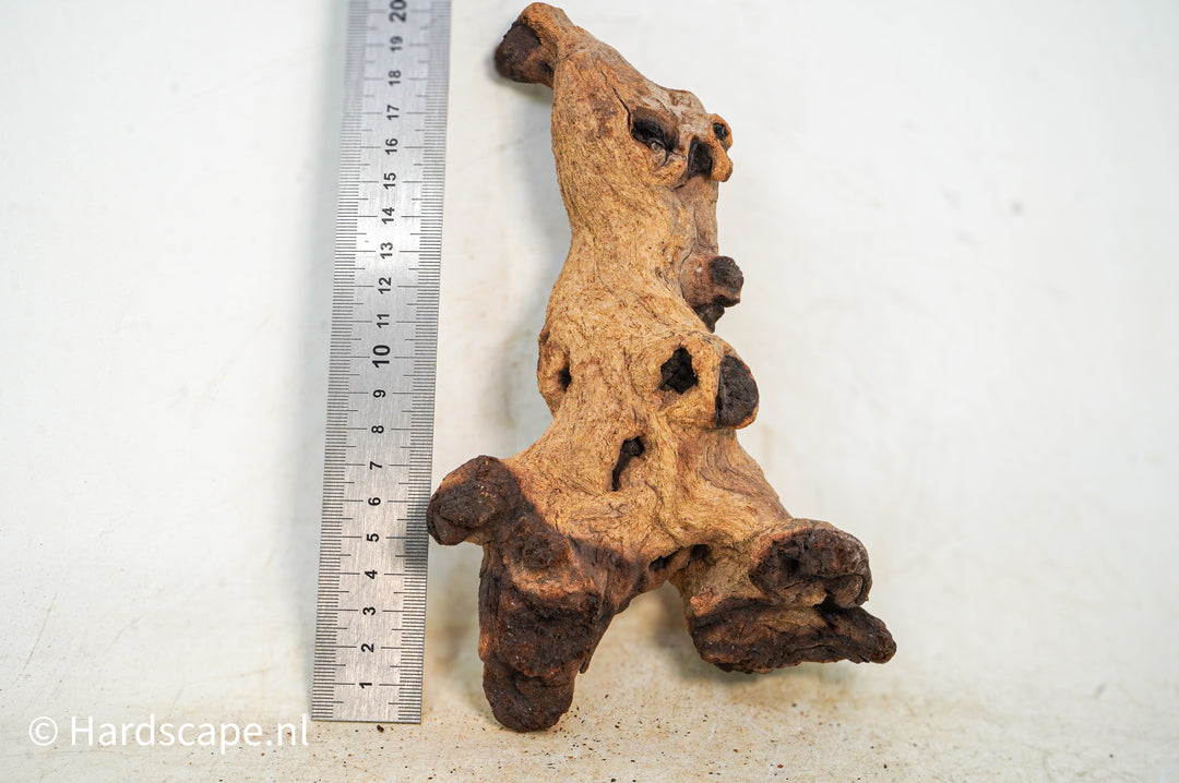 Mopani Hout 95 - Hardscape.nl