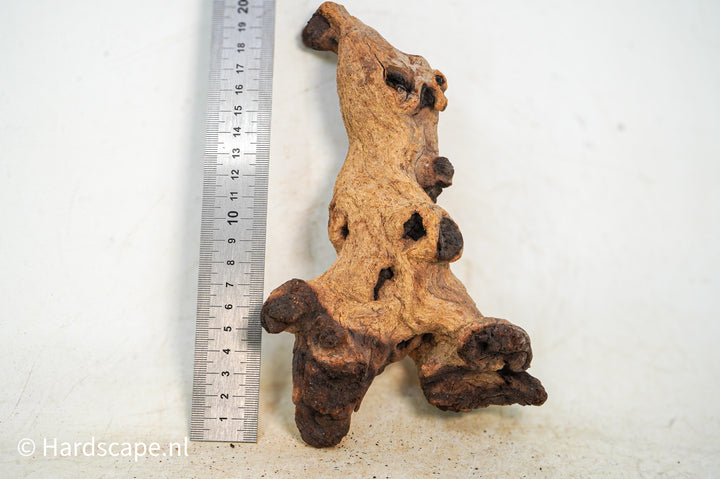 Mopani Hout 95 - Hardscape.nl