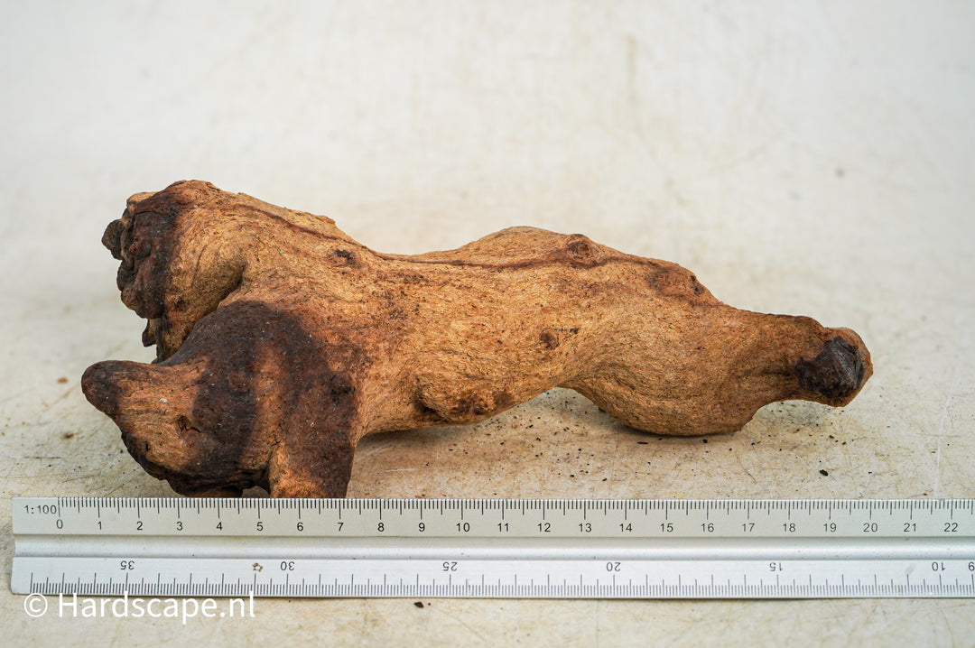 Mopani Hout 95 - Hardscape.nl