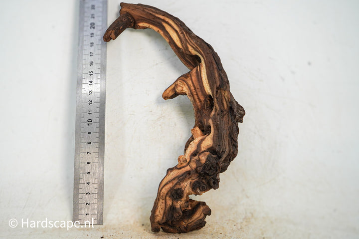 Mopani Hout 96 - Hardscape.nl