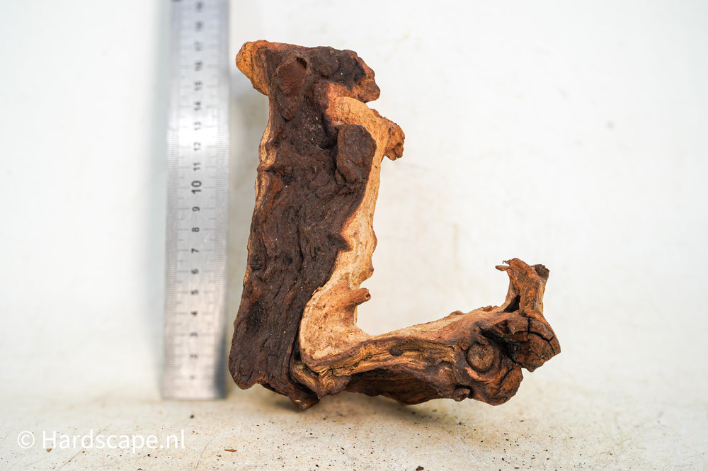 Mopani Hout 97 - Hardscape.nl