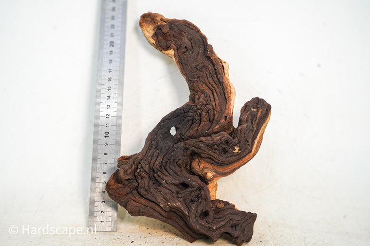 Mopani Hout 98 - Hardscape.nl