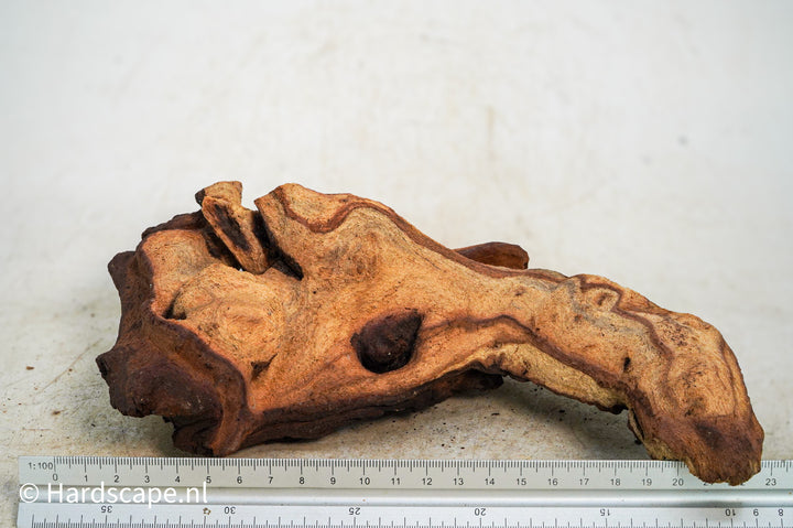 Mopani Hout 98 - Hardscape.nl
