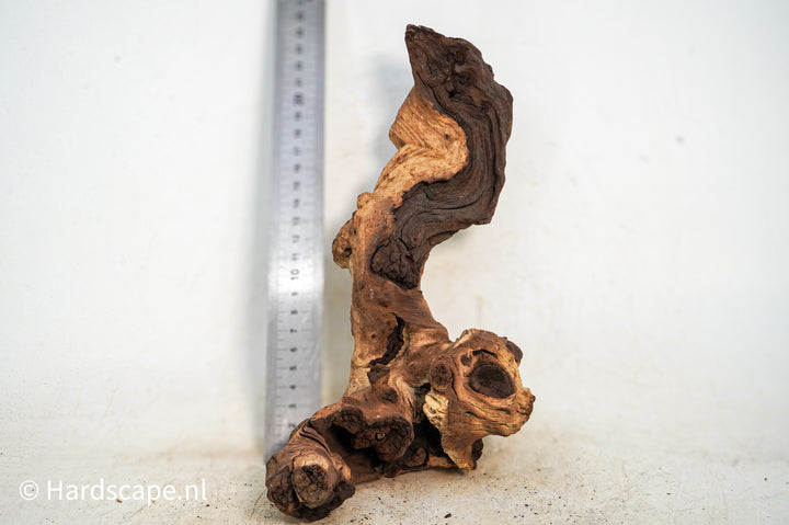 Mopani Hout 99 - Hardscape.nl