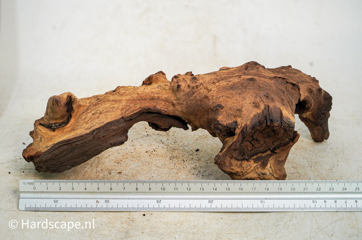 Mopani Hout 99 - Hardscape.nl