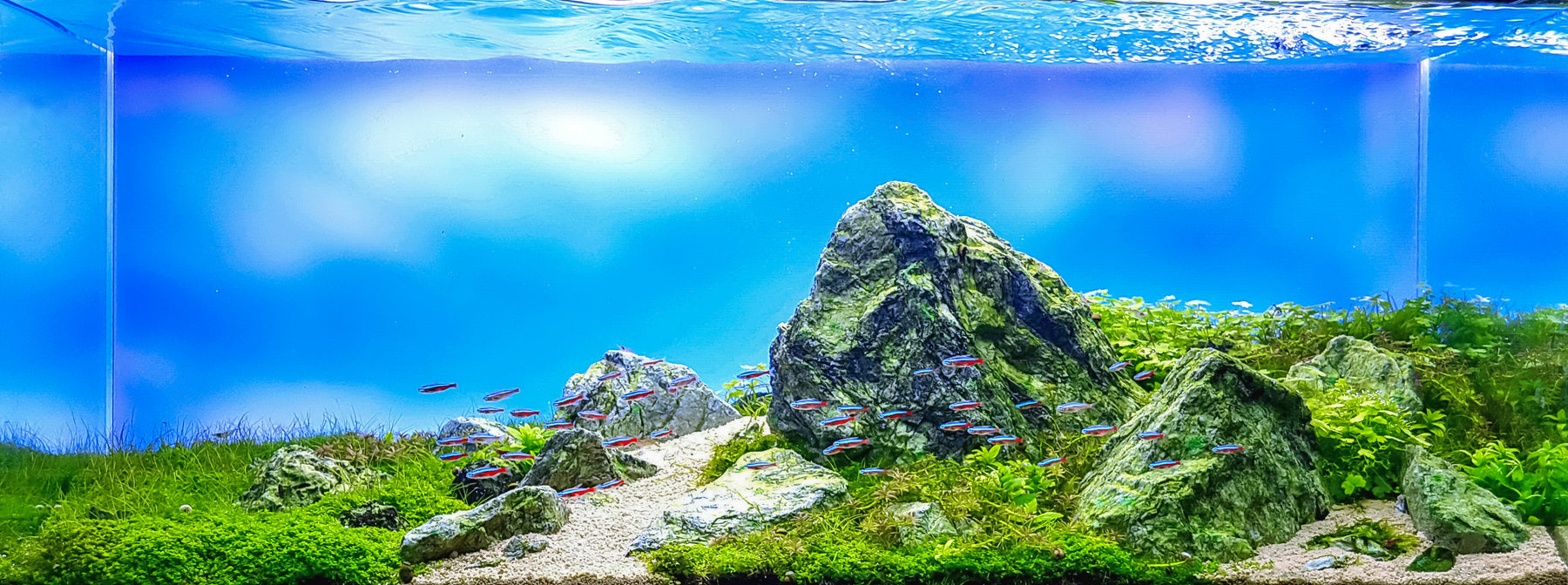 hardscape aquascaping, mountainrock, planted tank, hardscape.nl