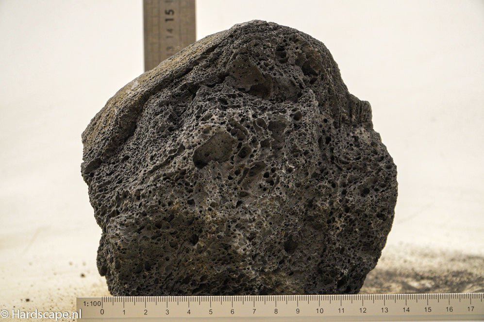 Black Lava Rock L63 - Hardscape.nlLarge