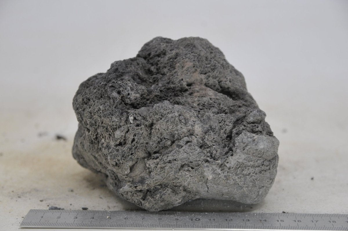 Black Lava Rock M71 - Hardscape.nlMedium