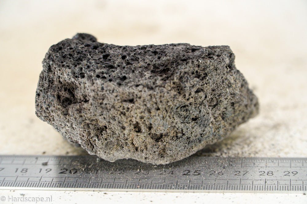 Black Lava Rock S228 - Hardscape.nlSmall