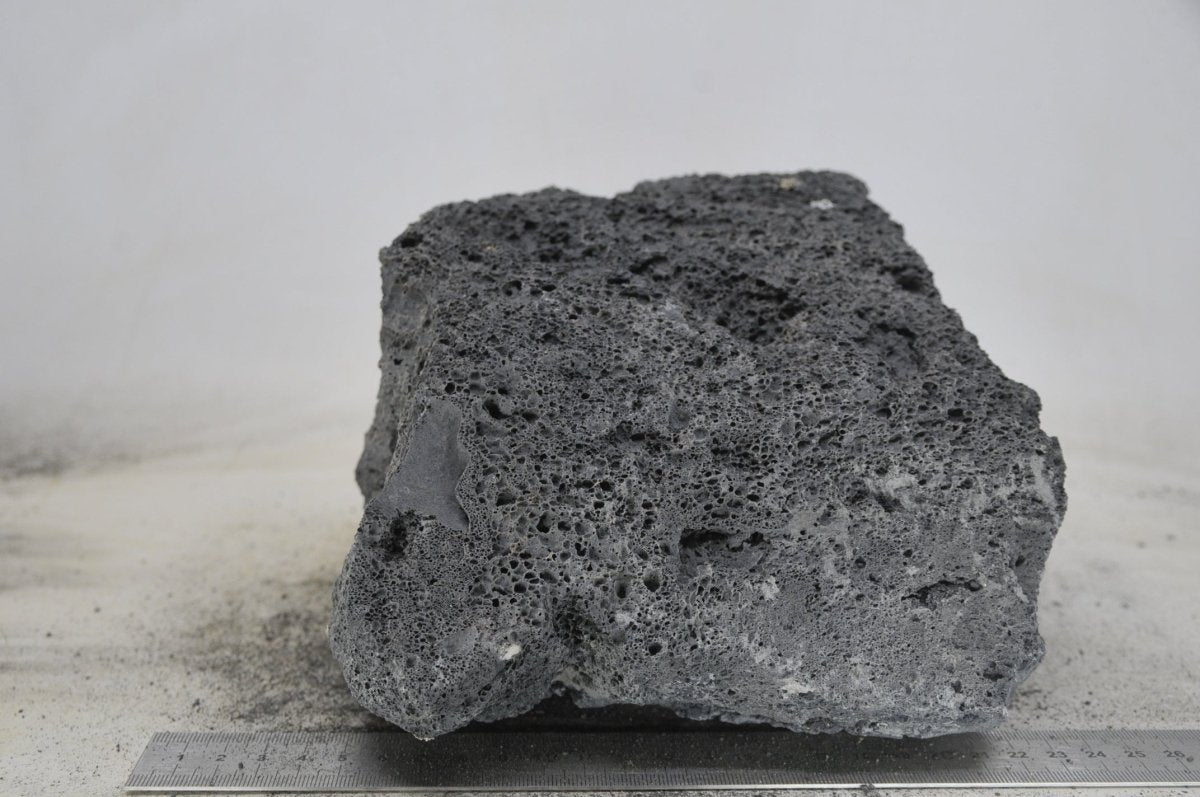 Black Lava Rock XL39 - Hardscape.nlExtra Large