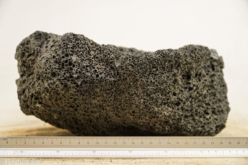 Black Lava Rock XL47 - Hardscape.nlExtra Large