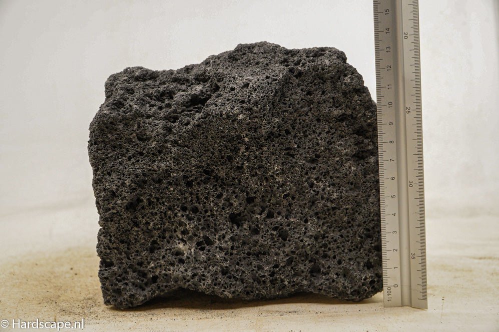 Black Lava Rock XL50 - Hardscape.nlExtra Large