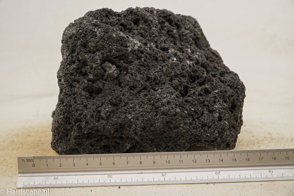 Black Lava Rock XL50 - Hardscape.nlExtra Large