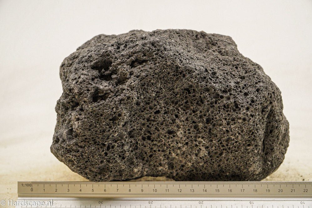 Black Lava Rock XL52 - Hardscape.nlExtra Large