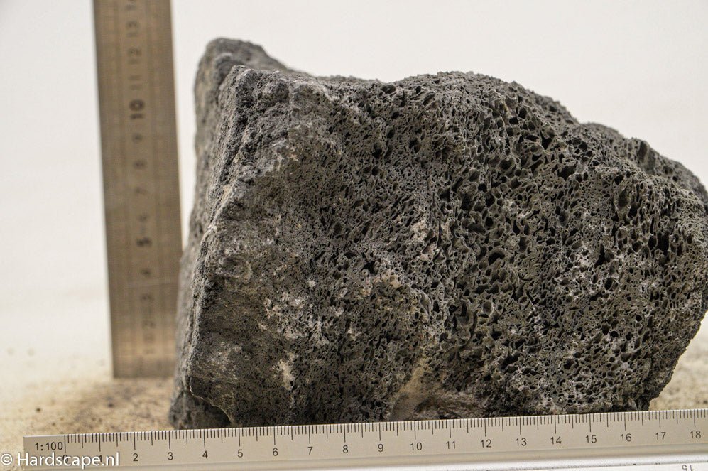 Black Lava Rock XL55 - Hardscape.nlExtra Large