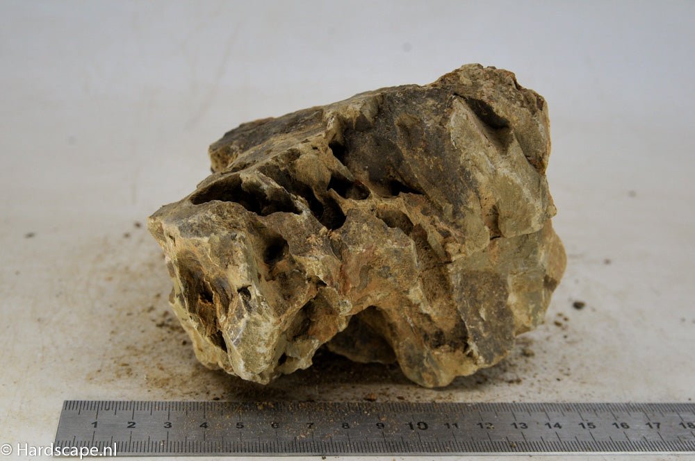 Dragon Stone L134 - Hardscape.nlLarge