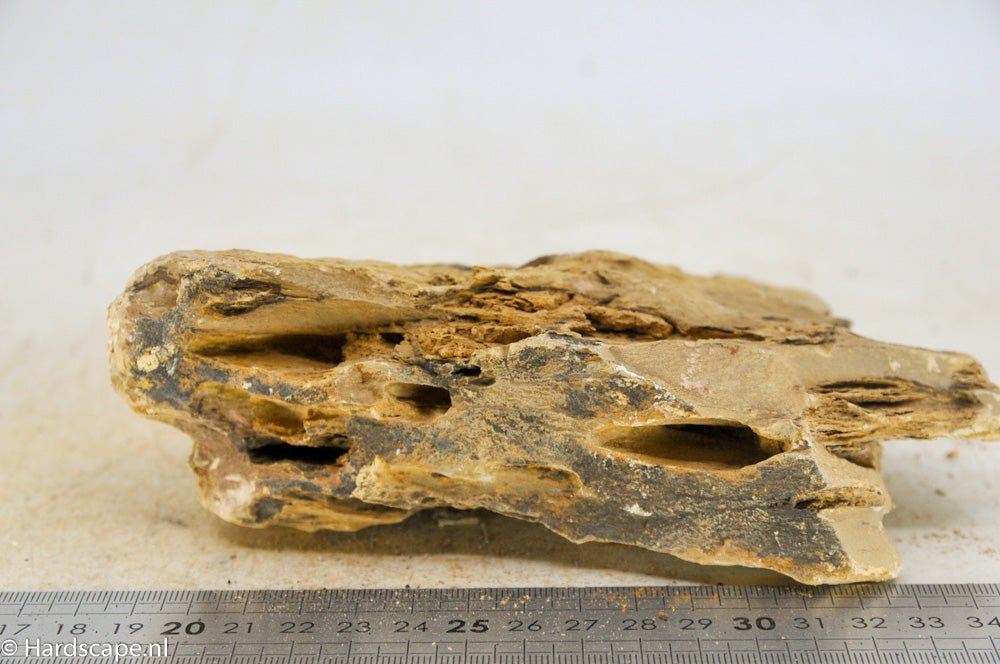 Dragon Stone L161 - Hardscape.nlLarge
