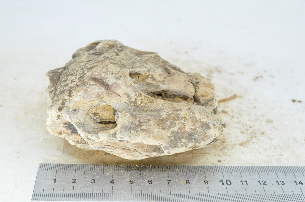 Dragon Stone M130 - Hardscape.nlMedium