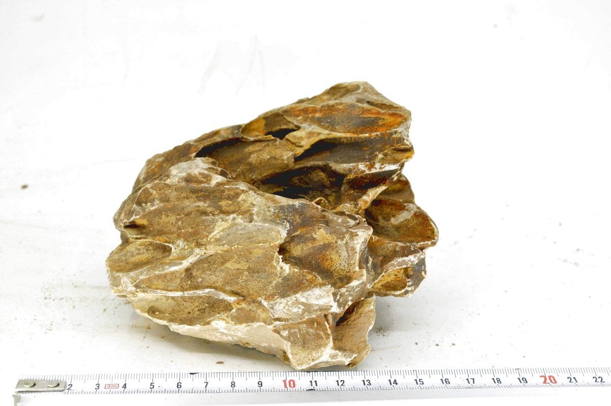 Dragon stone XL10 - Hardscape.nlExtra Large