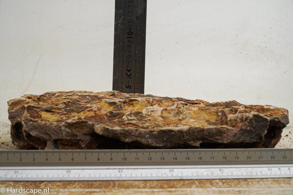 Dragon Stone XL50 - Hardscape.nlExtra Large