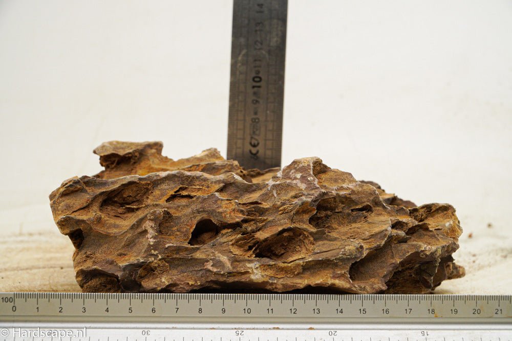 Dragon Stone XL53 - Hardscape.nlExtra Large