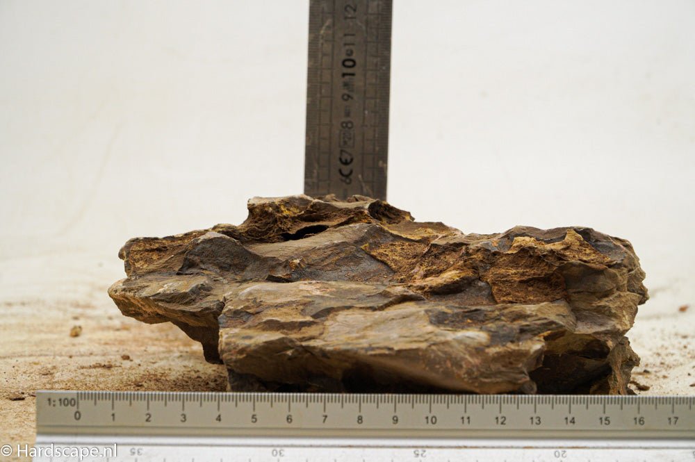Dragon Stone XL59 - Hardscape.nlExtra Large