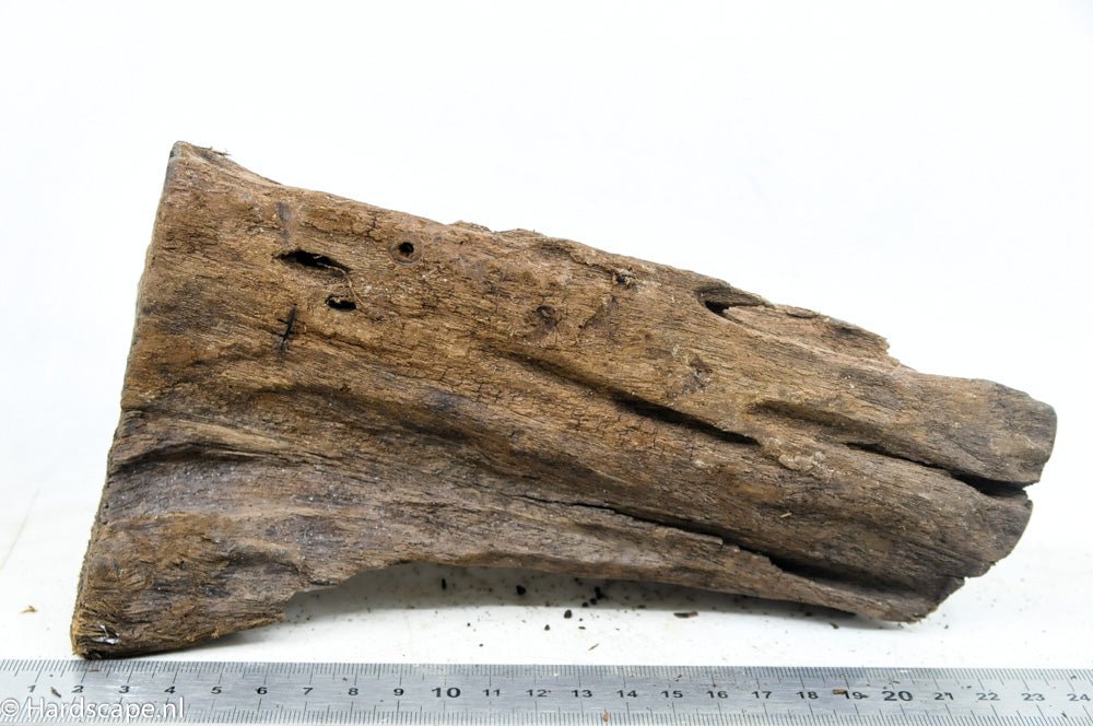 Driftwood M45 - Hardscape.nlMedium