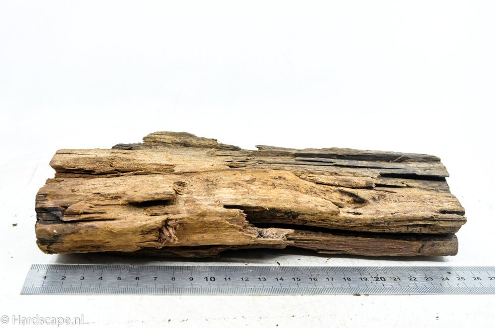 Driftwood M49 - Hardscape.nlMedium