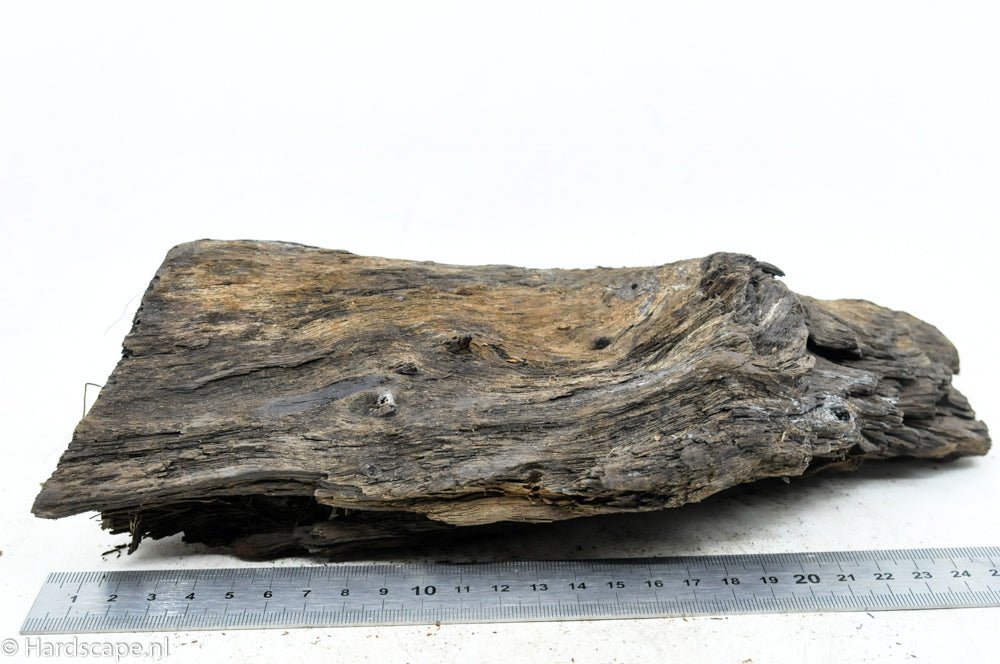 Driftwood M72 - Hardscape.nlMedium