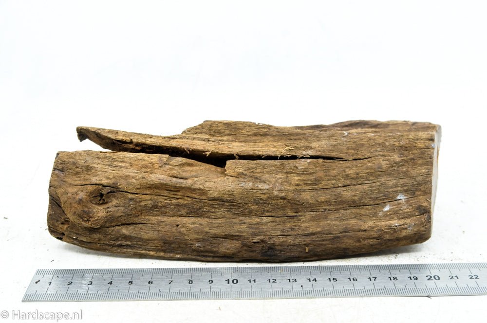 Driftwood M73 - Hardscape.nlMedium