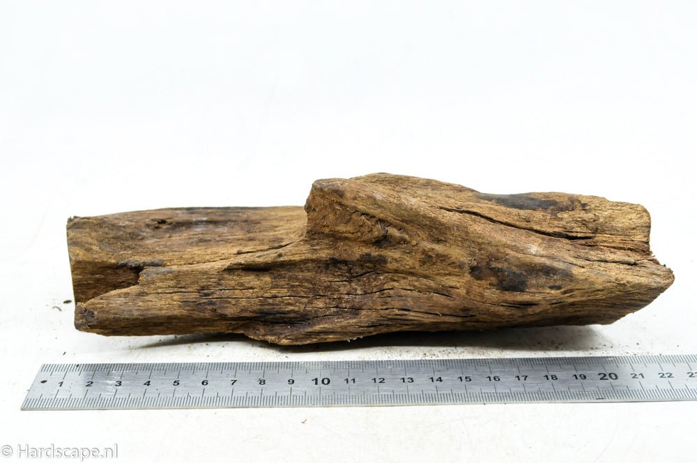 Driftwood M73 - Hardscape.nlMedium
