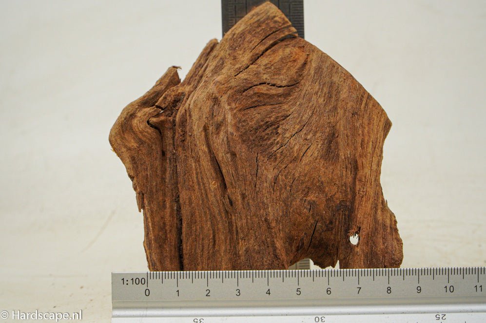 Driftwood S114 - Hardscape.nlSmall