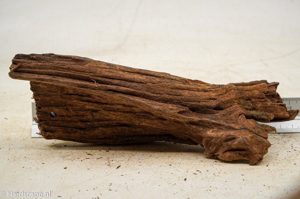 Driftwood S118 - Hardscape.nlSmall