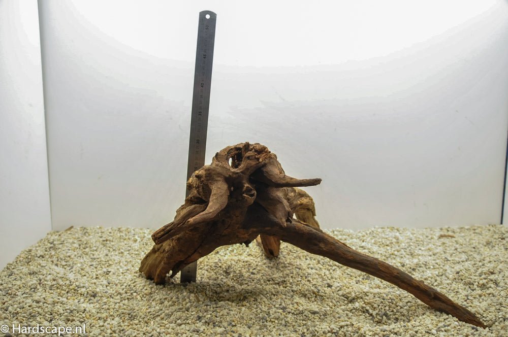 Driftwood XL42 - Hardscape.nlExtra Large