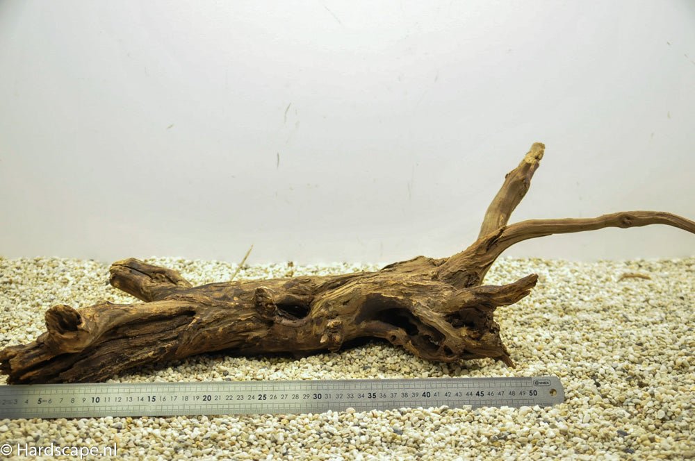 Driftwood XL46 - Hardscape.nlExtra Large