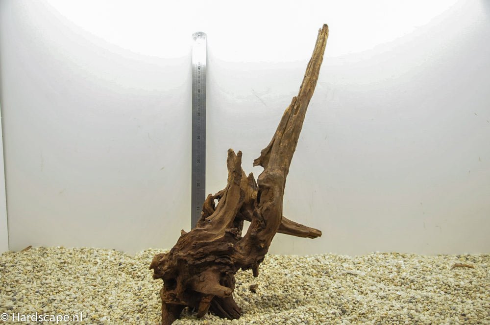 Driftwood XL48 - Hardscape.nlExtra Large