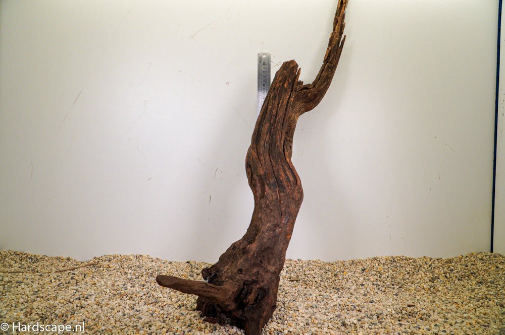 Driftwood XL57 - Hardscape.nlExtra Large