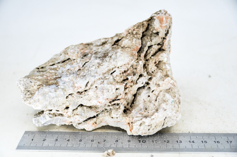 Elephant Skin Rock L35 - Hardscape.nlLarge