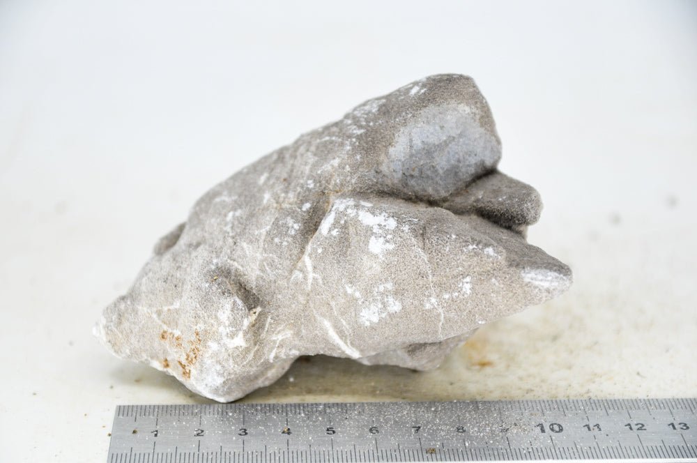 Elephant Skin Rock M50 - Hardscape.nlMedium