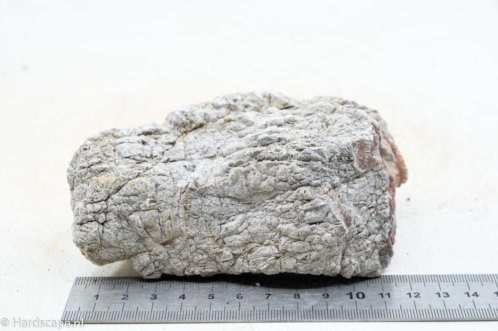 Elephant Skin Rock M56 - Hardscape.nlMedium