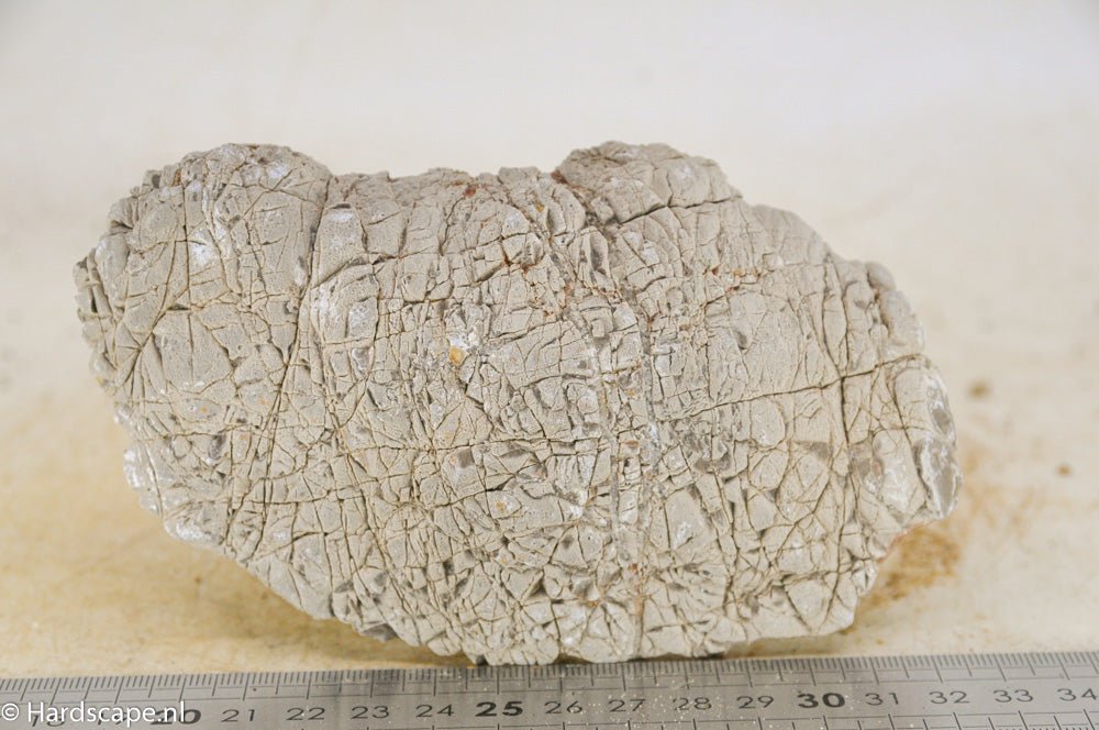 Elephant Skin Rock M82 - Hardscape.nlMedium