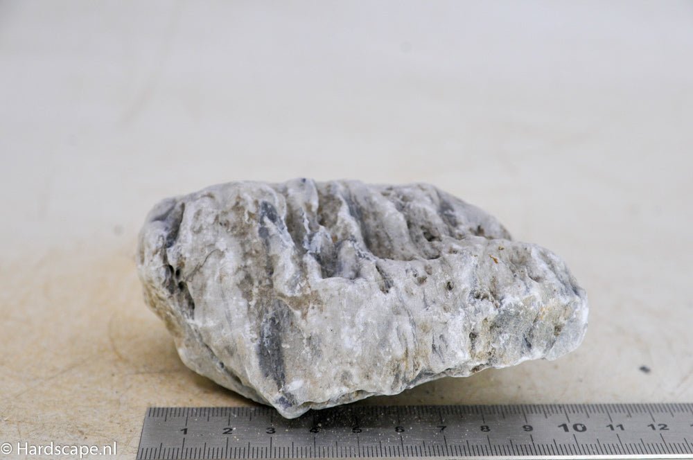 Elephant Skin Rock S104 - Hardscape.nlSmall